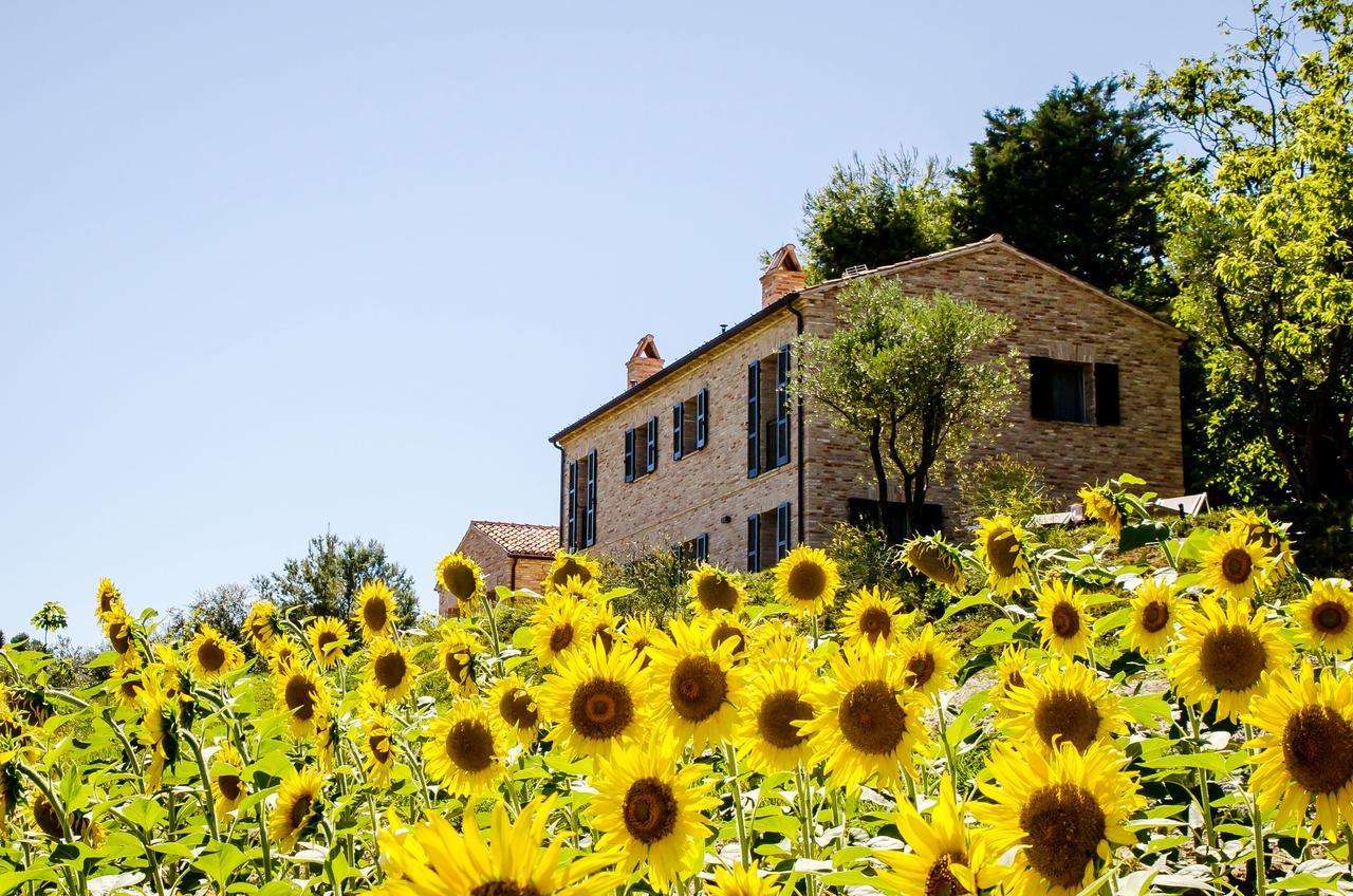 Casavostra - Ambience Suites Ostra Vetere Exterior foto